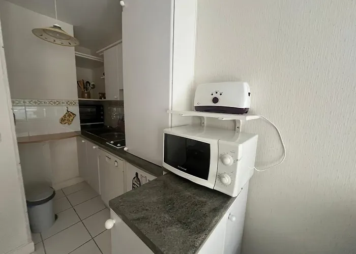 T2 Avec Terrasse Et Accès Direct à - Fr-1-374-228 Appartement Arcachon